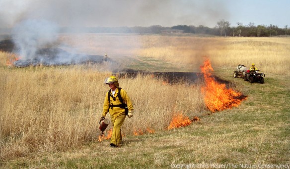 When burning in drought conditions, it's particularly important to be conservative.  Extra wide firebreaks, larger crews, and strong contingency plans are all good ideas to consider.