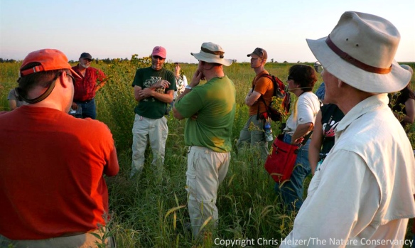 A field discussion at the 2009 Grassland Restoration Network in Nebraska.