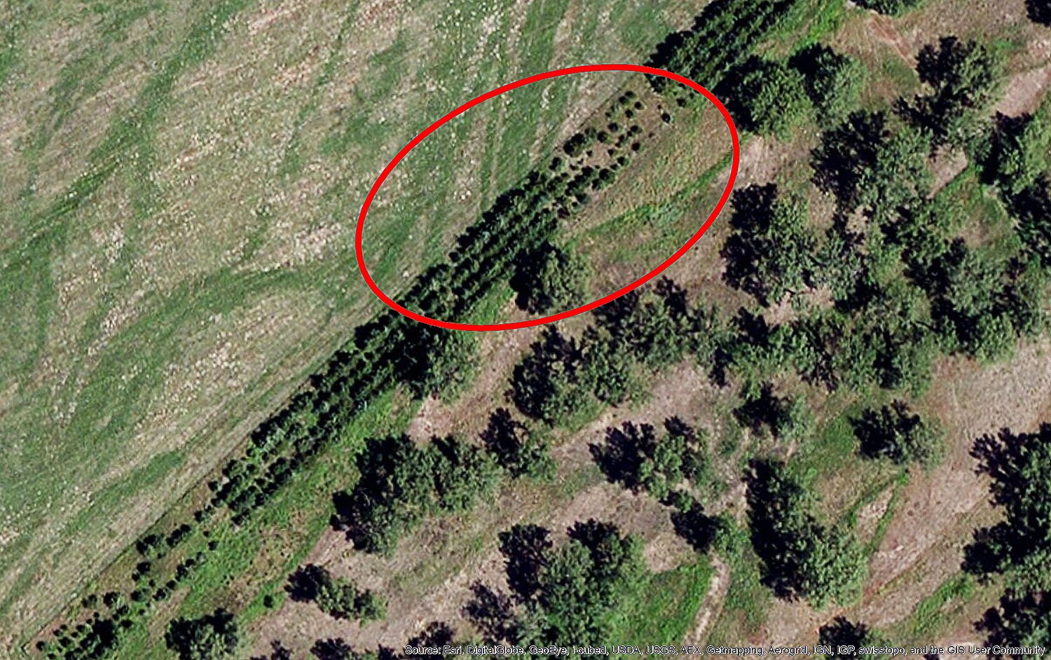 The outlined area in this aerial photo.
