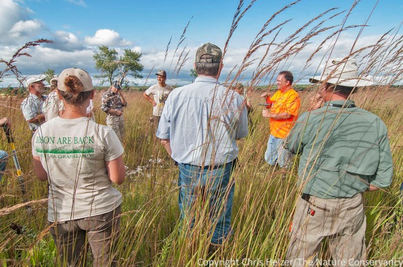 Mike Konen (in orange) from Northern Illinois University talks about soils during this year's workshop at Nachusa.  He is standing in prairie that is going to be grazed by the newly introduced herd of bison.  Grazing will give Bill and I one more thing to compare notes on...
