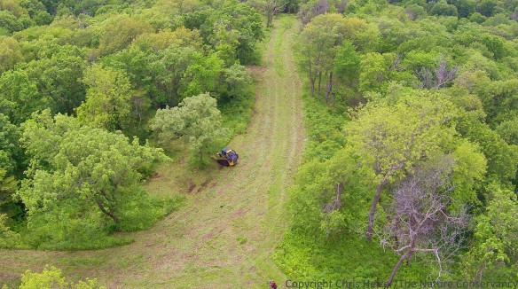 Nelso Winkel shredding brush with a skidsteer at The Nature Conservancy's Rulo Bluffs Preserve, Nebraska.  Using fire, thinning, and shredding, we are trying to allow more light to hit the ground in the woodland, which enhances oak tree regeneration, increases plant diversity, and improves habitat quality for many wildlife species.