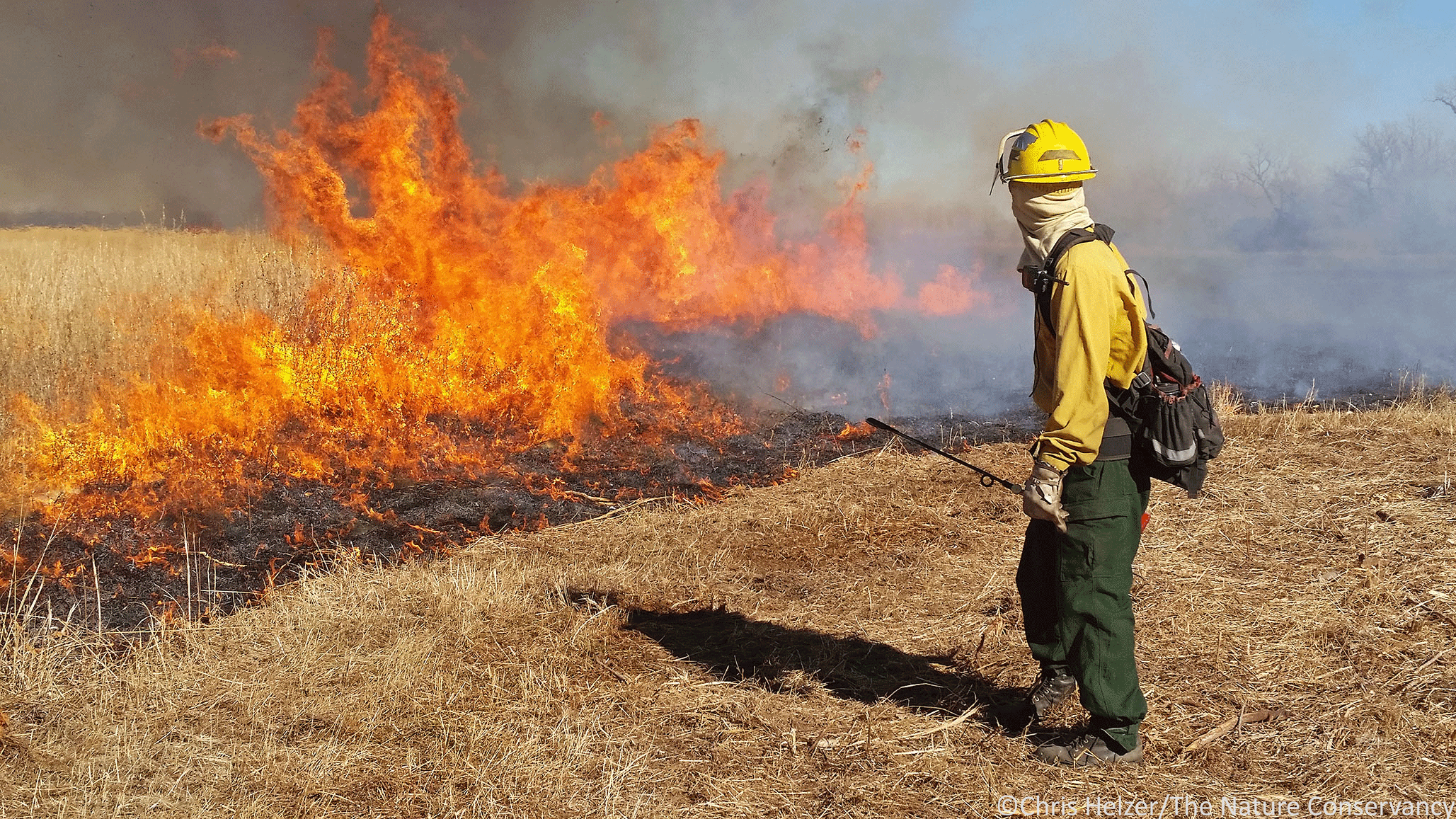 What’s the Best Burn Schedule for Prairies? | The Prairie Ecologist
